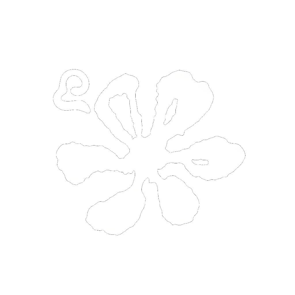 districtkaizen
